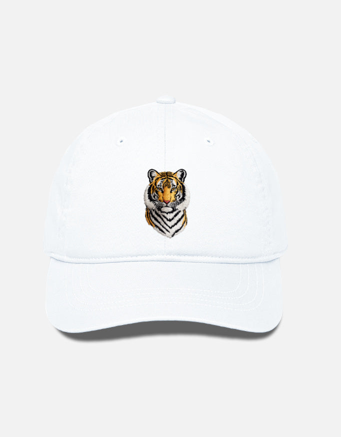 Front_1_c_1.jpg
