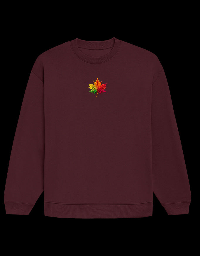 Front_1_c_25.jpg