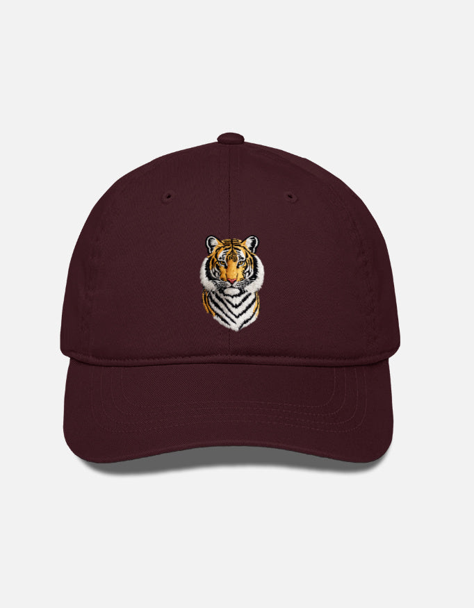 Front_1_c_25.jpg