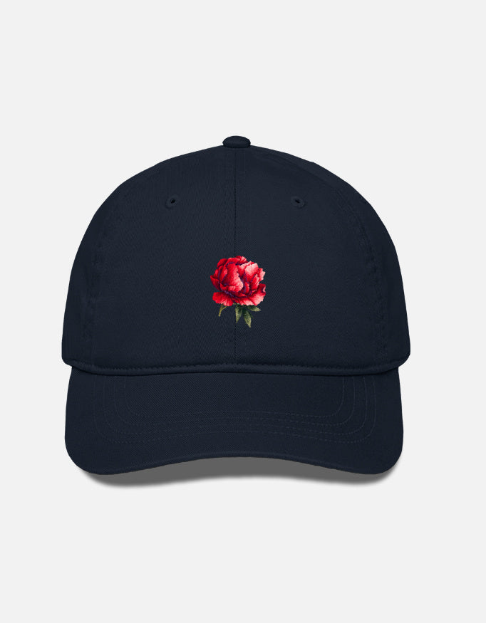 Front_1_c_3.jpg