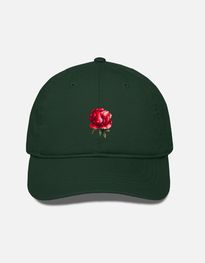 Front_1_c_8.jpg