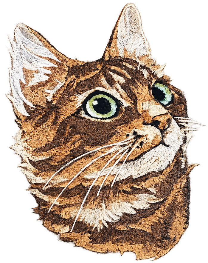 Detailed tabby cat embroidery Oversized Hoodie